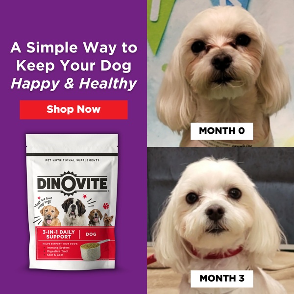 This ad creative uses a split-screen layout to show the physical transformation of a dog over three months of using nutritional supplements.